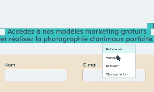 Options du reformulateur de texte intelligent de HubSpot