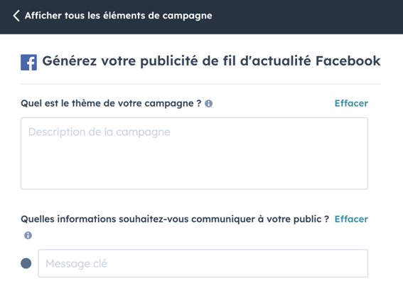 Choix du thème pour générer une publicité Facebook avec HubSpot