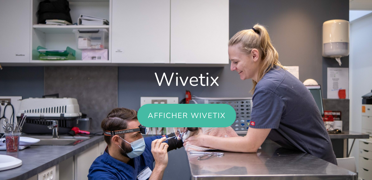 Wivetix Services