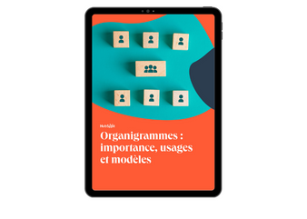 Organigrammes : importance, usages et modèles