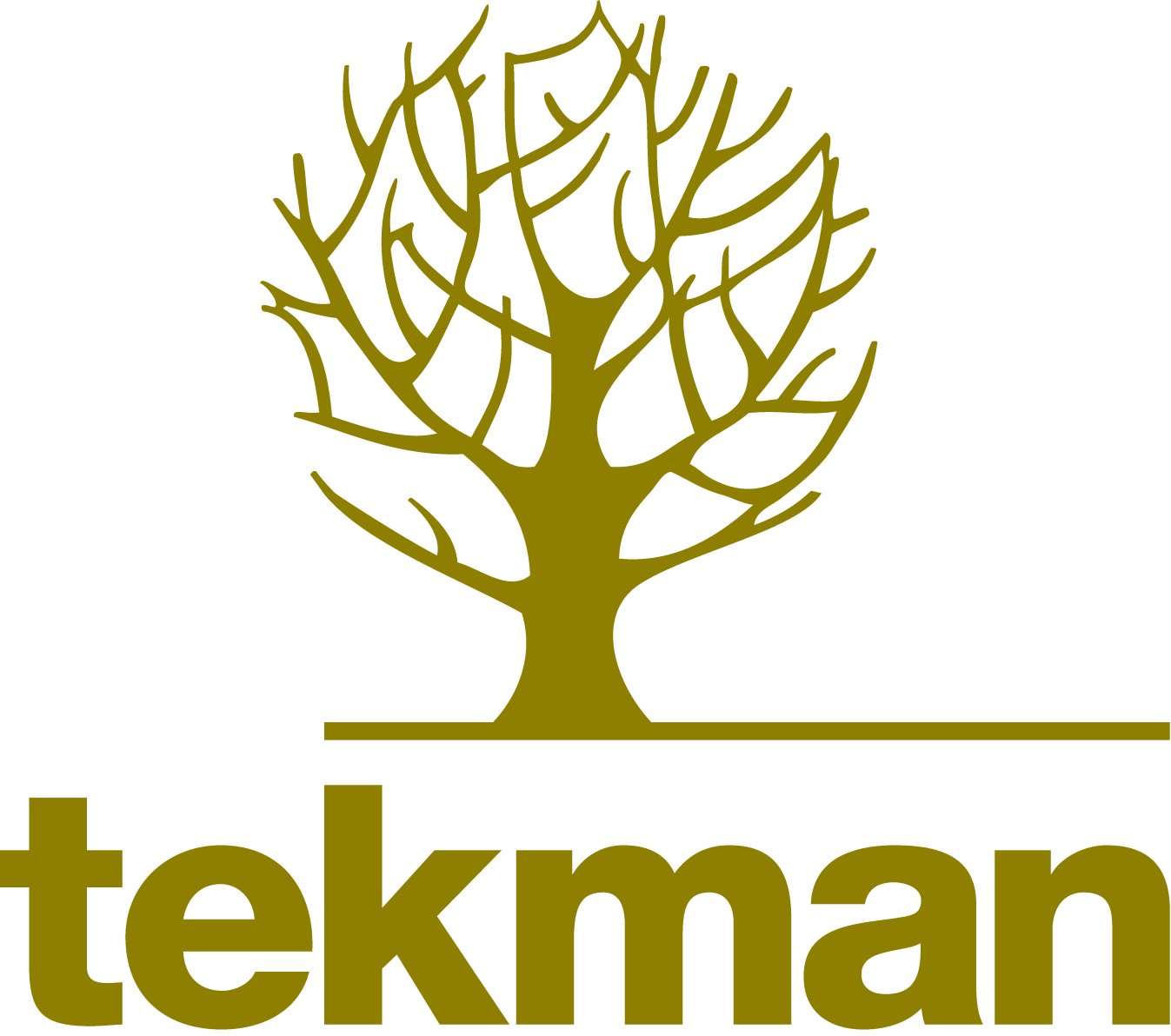 Tekman Education